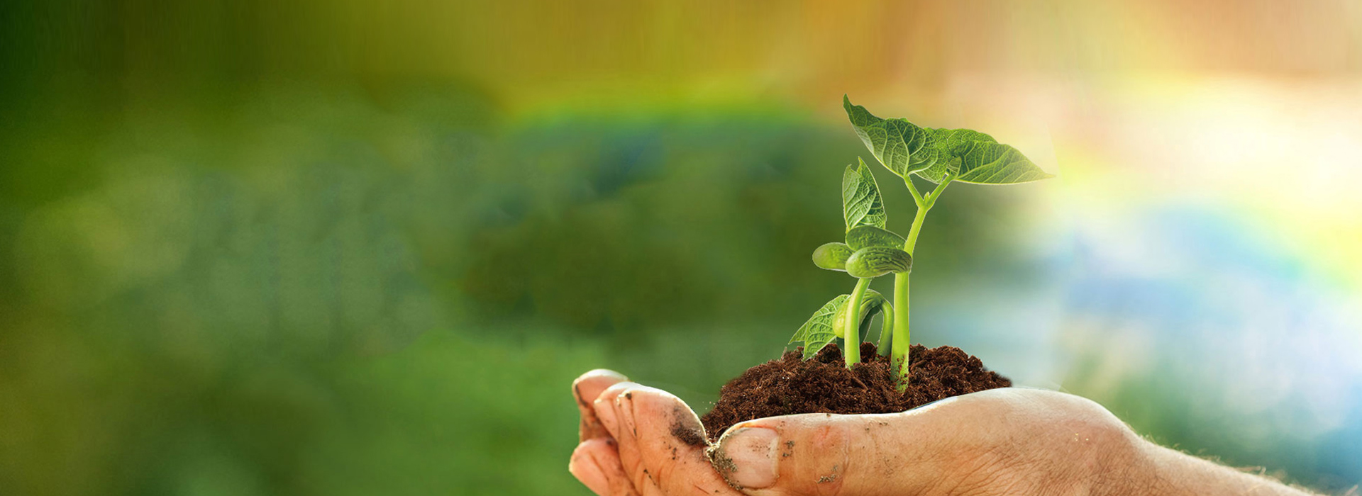 yp街机(中国)电子游戏官网