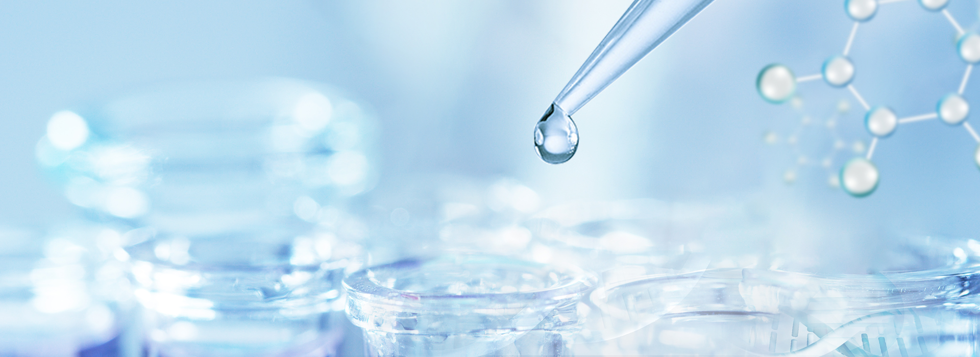 yp街机(中国)电子游戏官网