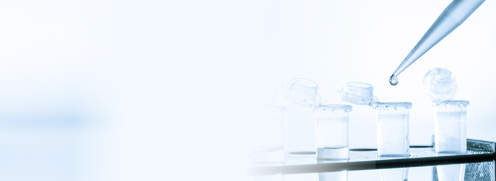 yp街机(中国)电子游戏官网